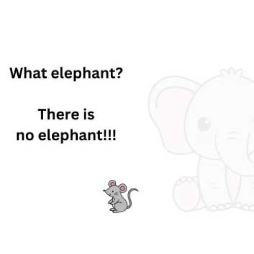 A mouse sits in front of faint outline of a cartoon elephant whilst text reads What elephant? There is no elephant!!!.