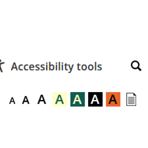 An accessibility tools menu showing options for adjusting font size, changing background colour, and a document icon.