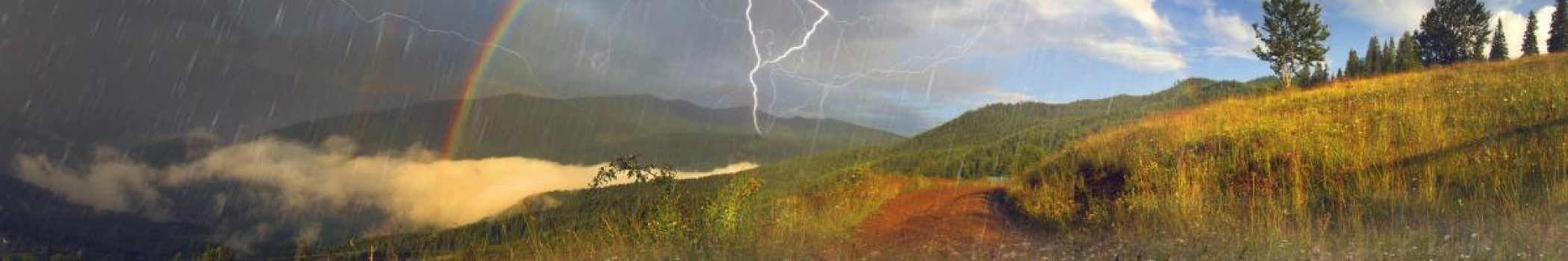 A rainbow arches above a mountain wildflower meadow as lightning strikes during a rainstorm.