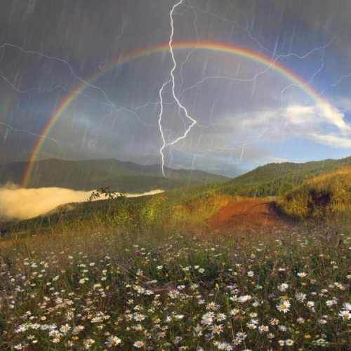 A rainbow arches above a mountain wildflower meadow as lightning strikes during a rainstorm.